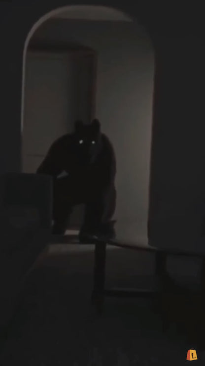 LumenSafe – Confort, SEGURIDAD y Economía para tu familia